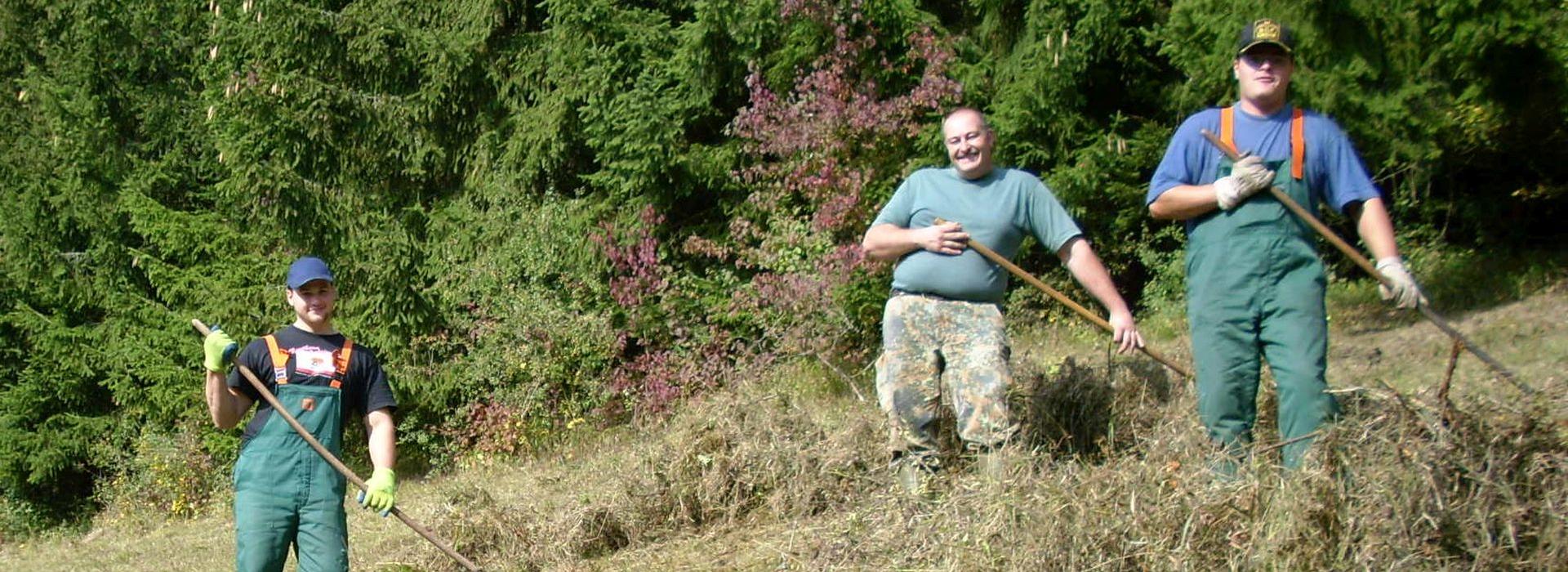 Heckenarbeiten
